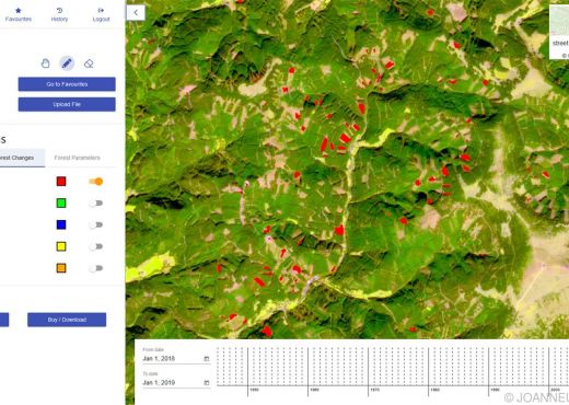 Waldänderungen (in rot) werden über einem Satellitenbild (Sentinel-2) oder einer Karte angezeigt 
