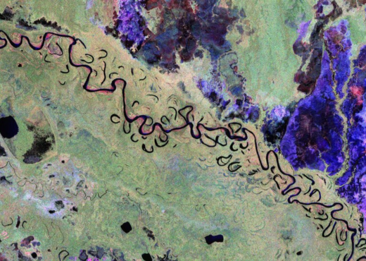 Kalibrierung aus dem wald: So hilft Tree Quest dem ESA-Biomass-Satelliten