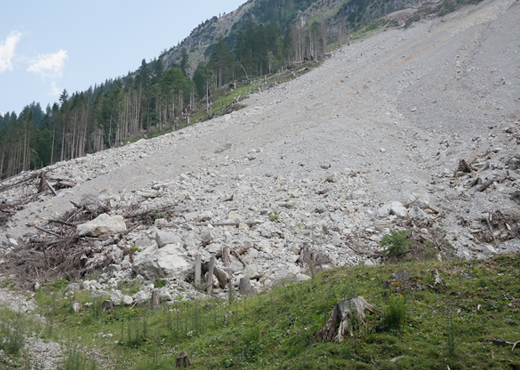 Landslide on a mountain 