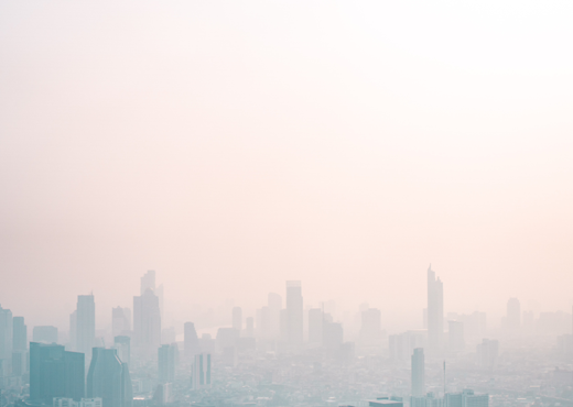 Smog over a metropolitan city 
